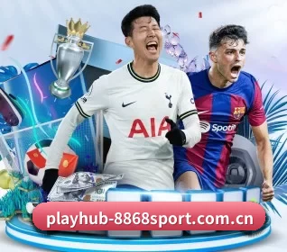 playhub-8868sport.com.cn APP